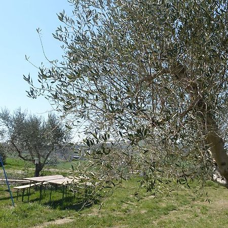 Отель Agriturismo Il Merollo Тоди Экстерьер фото