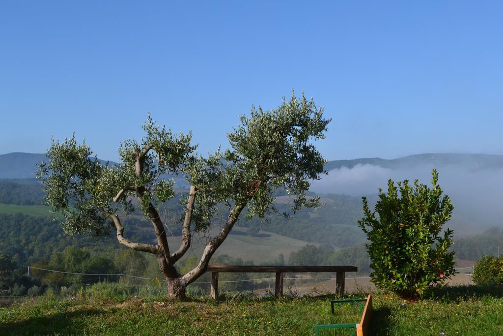 Отель Agriturismo Il Merollo Тоди Экстерьер фото